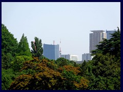 Shinjuku Gyoen 57